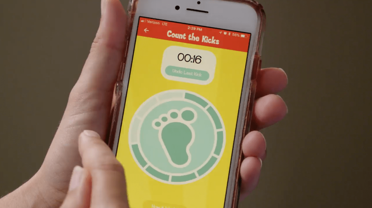 Kick count online app